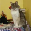 Отзыв от Елена Нечаева